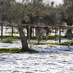 Terre Di Senia Chiaramonte Gulfi